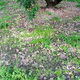 190619-04.jpg