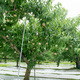 190710-06.jpg